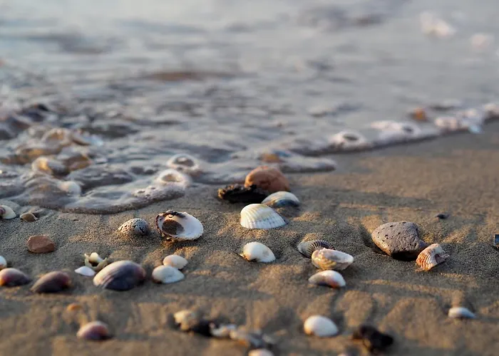 Coastal Escape Flat With Common Pool Апартаменти *