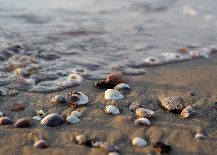 Coastal Escape Flat With Common Pool Апартаменти *